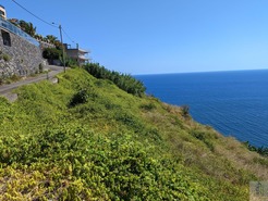 Terreno Rstico T0 - Tabua, Ribeira Brava, Ilha da Madeira - Miniatura: 3/28