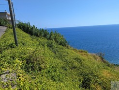Terreno Rstico T0 - Tabua, Ribeira Brava, Ilha da Madeira - Miniatura: 6/28