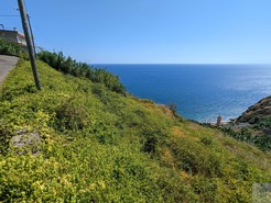 Terreno Rstico T0 - Tabua, Ribeira Brava, Ilha da Madeira - Miniatura: 11/28