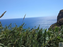 Terreno Rstico T0 - Tabua, Ribeira Brava, Ilha da Madeira - Miniatura: 18/28