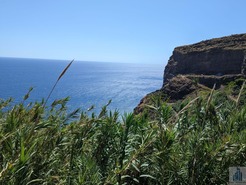 Terreno Rstico T0 - Tabua, Ribeira Brava, Ilha da Madeira - Miniatura: 19/28