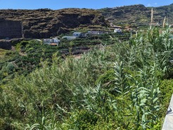 Terreno Rstico T0 - Tabua, Ribeira Brava, Ilha da Madeira - Miniatura: 20/28