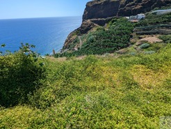 Terreno Rstico T0 - Tabua, Ribeira Brava, Ilha da Madeira - Miniatura: 25/28