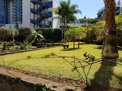 Apartamento T4 - Funchal, Funchal, Ilha da Madeira - Miniatura: 2/16