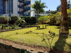 Apartamento T4 - Funchal, Funchal, Ilha da Madeira - Miniatura: 15/16