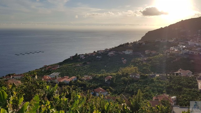 Moradia T3 - Arco da Calheta, Calheta (Madeira), Ilha da Madeira - Imagem grande