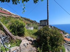 Moradia T1 - Tabua, Ribeira Brava, Ilha da Madeira - Miniatura: 7/8