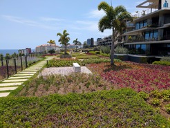 Apartamento T1 - S�o Martinho, Funchal, Ilha da Madeira - Miniatura: 32/34