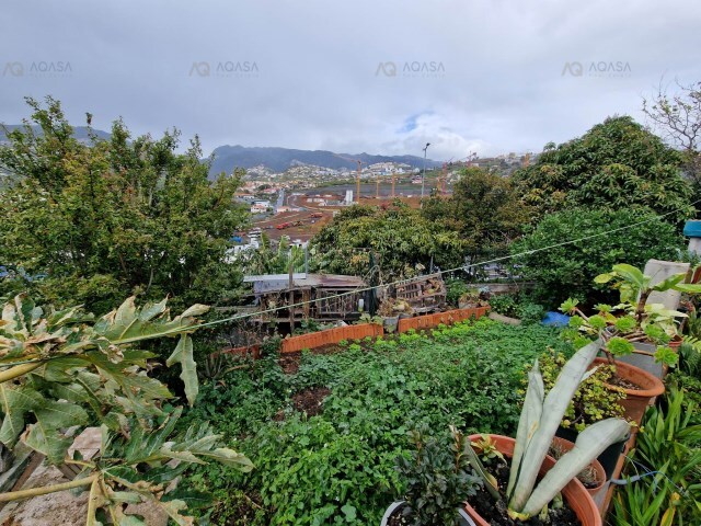 Terreno Rstico - So Martinho, Funchal, Ilha da Madeira - Imagem grande