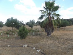Moradia - Santa Margarida da Serra, Gr�ndola, Set�bal - Miniatura: 23/25