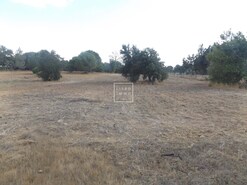 Moradia - Santa Margarida da Serra, Gr�ndola, Set�bal - Miniatura: 24/25