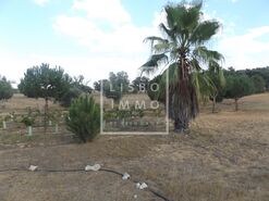 Moradia - Santa Margarida da Serra, Gr�ndola, Set�bal - Miniatura: 23/25