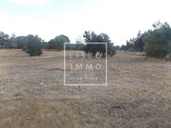 Moradia - Santa Margarida da Serra, Gr�ndola, Set�bal - Miniatura: 24/25