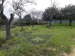 Terreno R�stico T0 - N�o Definido, N�o Definido, N�o Definido - Miniatura: 11/16