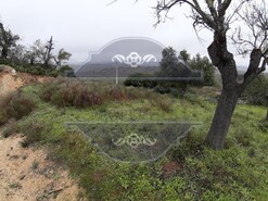 Terreno R�stico T0 - N�o Definido, N�o Definido, N�o Definido - Miniatura: 12/16