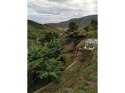 Terreno Urbano - Machico, Machico, Ilha da Madeira - Miniatura: 7/8