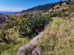 Terreno Rstico - Machico, Machico, Ilha da Madeira