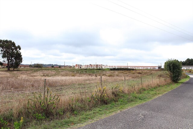 Terreno Rstico T0 - Arrouquelas, Rio Maior, Santarm - Imagem grande