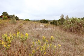 Terreno Rstico T0 - Arrouquelas, Rio Maior, Santarm - Miniatura: 12/22