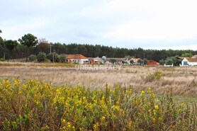 Terreno Rstico T0 - Arrouquelas, Rio Maior, Santarm - Miniatura: 21/22