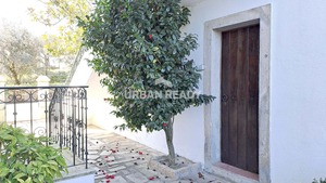 Quinta T6 - Mangualde, Mangualde, Viseu - Miniatura: 32/62