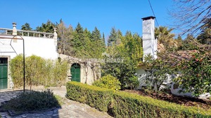 Quinta T6 - Mangualde, Mangualde, Viseu - Miniatura: 33/62