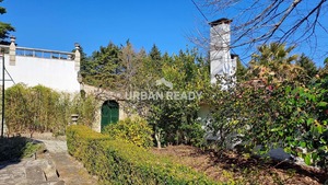 Quinta T6 - Mangualde, Mangualde, Viseu - Miniatura: 36/62