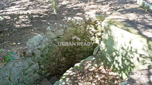 Quinta T6 - Mangualde, Mangualde, Viseu - Miniatura: 37/62