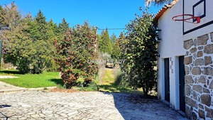 Quinta T6 - Mangualde, Mangualde, Viseu - Miniatura: 38/62