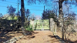 Quinta T6 - Mangualde, Mangualde, Viseu - Miniatura: 49/62