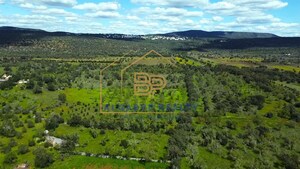 Moradia T3 - Benafim, Loul�, Faro (Algarve) - Miniatura: 29/31