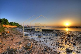 Terreno R�stico T0 - Mexilhoeira da Carrega��o, Lagoa (Algarve), Faro (Algarve) - Miniatura: 6/7