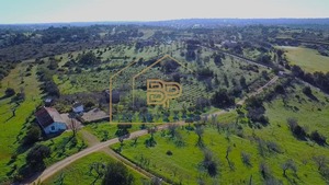 Moradia T3 - N�o Definido, N�o Definido, N�o Definido - Miniatura: 8/16