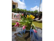 Moradia T2 - Porto Santo, Porto Santo, Ilha da Madeira - Miniatura: 3/9