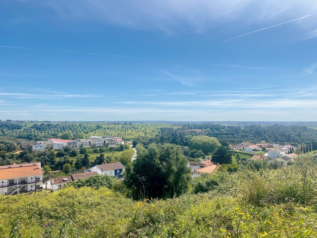 Terreno R�stico - Pernes, Santar�m, Santar�m - Imagem grande