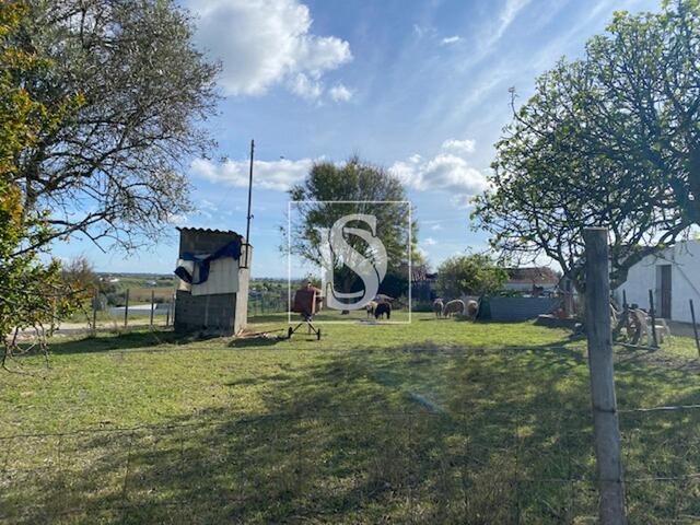 Terreno R�stico - Cas�vel, Santar�m, Santar�m - Imagem grande