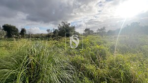 Quinta T0 - Atouguia da Baleia, Peniche, Leiria - Miniatura: 8/15