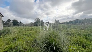 Quinta T0 - Atouguia da Baleia, Peniche, Leiria - Miniatura: 10/15