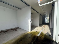 Moradia T5 - Goleg�, Goleg�, Santar�m - Miniatura: 21/46