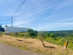 Terreno R�stico - Pernes, Santar�m, Santar�m - Miniatura: 5/15