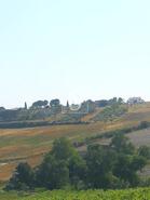 Terreno R�stico - Cas�vel, Santar�m, Santar�m - Miniatura: 1/3