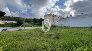 Terreno R�stico - Abitureiras, Santar�m, Santar�m - Miniatura: 7/13