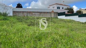 Terreno R�stico - Abitureiras, Santar�m, Santar�m - Miniatura: 8/13