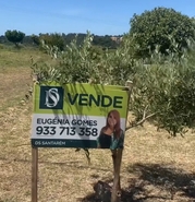 Terreno R�stico - Pernes, Santar�m, Santar�m - Miniatura: 12/15