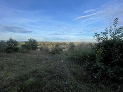 Terreno R�stico - Azoia de Cima, Santar�m, Santar�m - Miniatura: 2/8