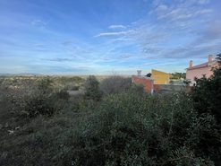 Terreno R�stico - Azoia de Cima, Santar�m, Santar�m - Miniatura: 3/8