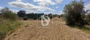 Quinta T2 - Romeira, Santar�m, Santar�m - Miniatura: 3/28