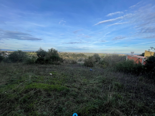 Terreno R�stico - Azoia de Cima, Santar�m, Santar�m - Imagem grande