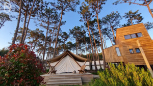 Hotel/Residencial - Atouguia da Baleia, Peniche, Leiria - Miniatura: 7/36