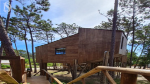 Hotel/Residencial - Atouguia da Baleia, Peniche, Leiria - Miniatura: 24/36